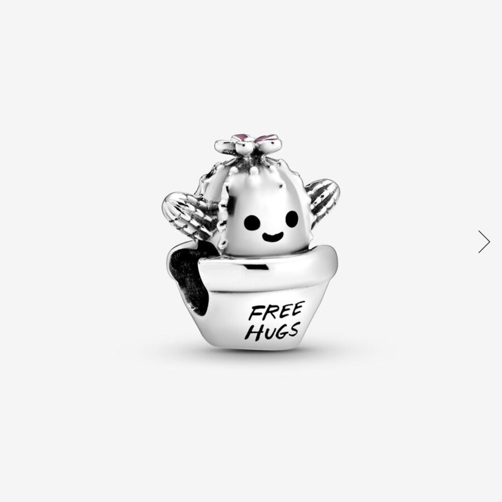 authentic pandora bracelet charm